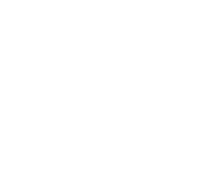 G8 IT